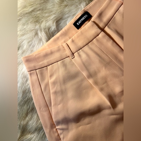 ✨NEW EXPRESS CASUAL SHORTS -‎ SIZE 10✨ - Picture 3 of 7